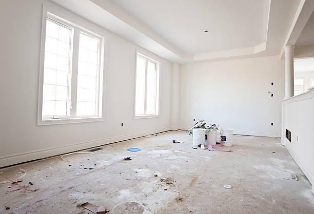 Best Basement Mold Removal  in Lutherville, MD